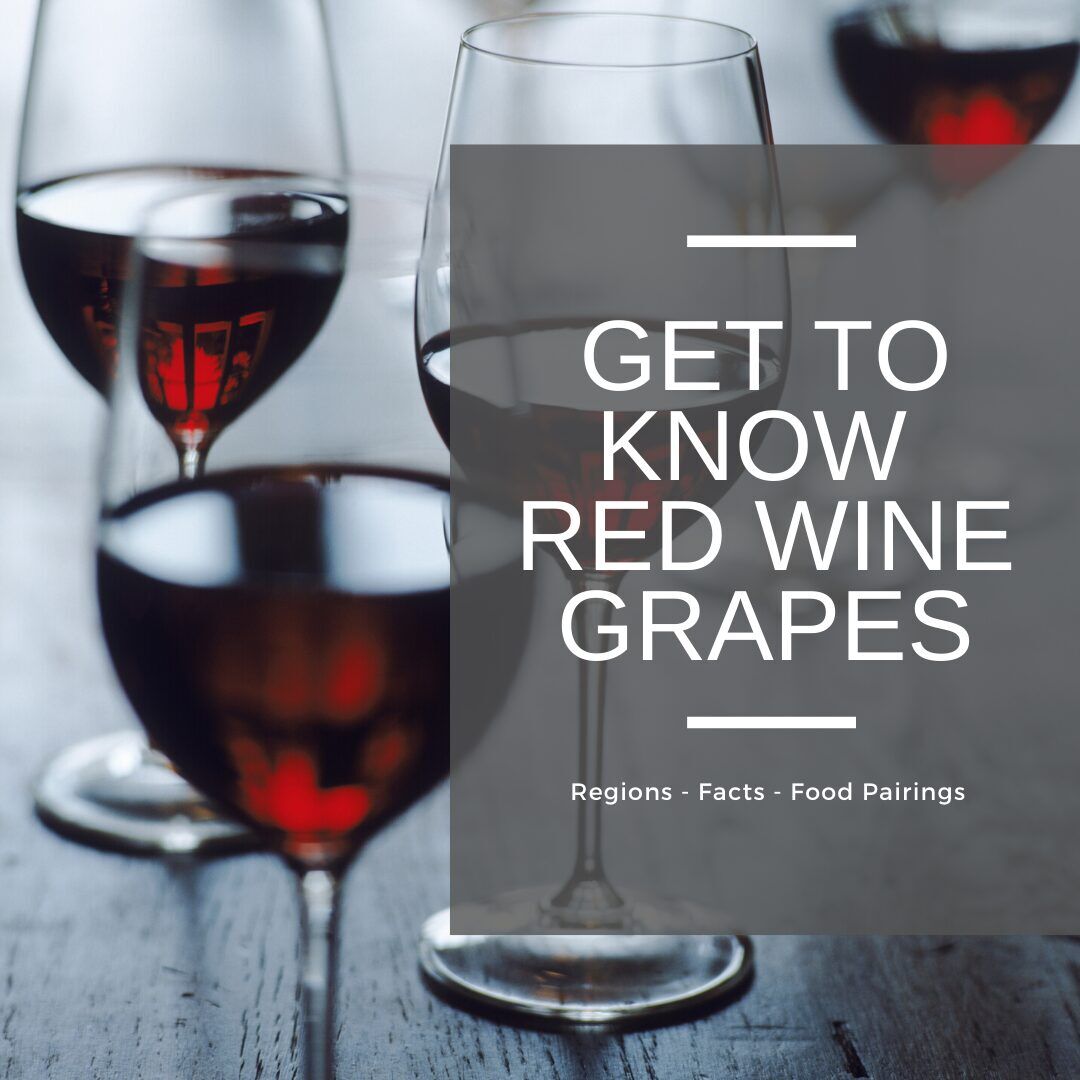 types of red wine grape