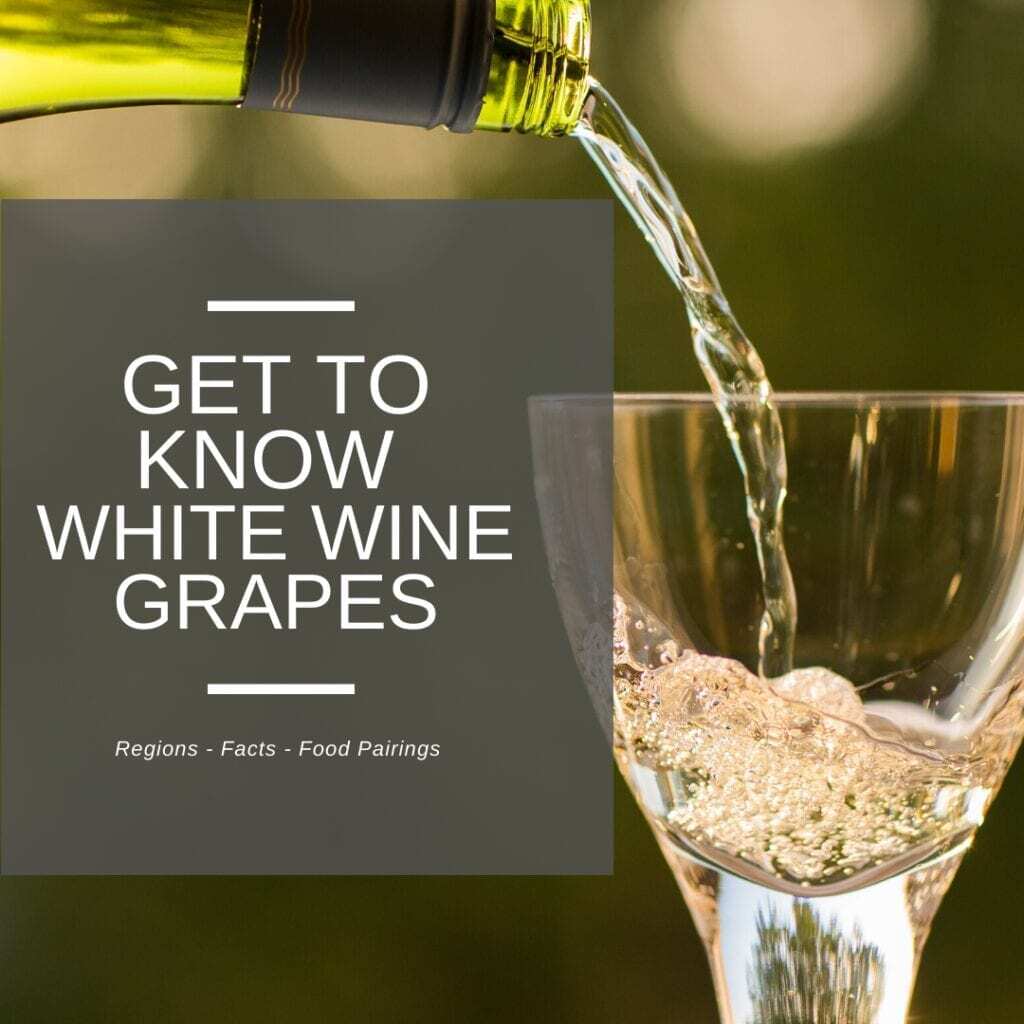 get to know white wine grapes