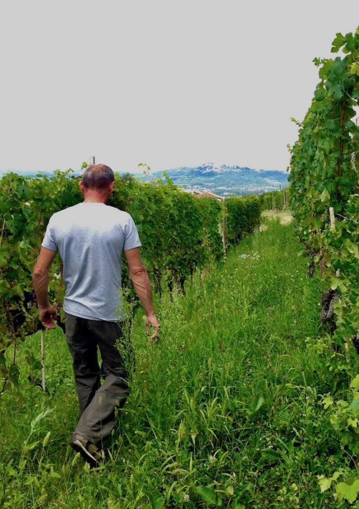 Wine Travel to Piedmont Italy, touring Franco Rocca Wine