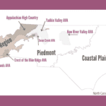 Introduction to the North Carolina Wine Regions