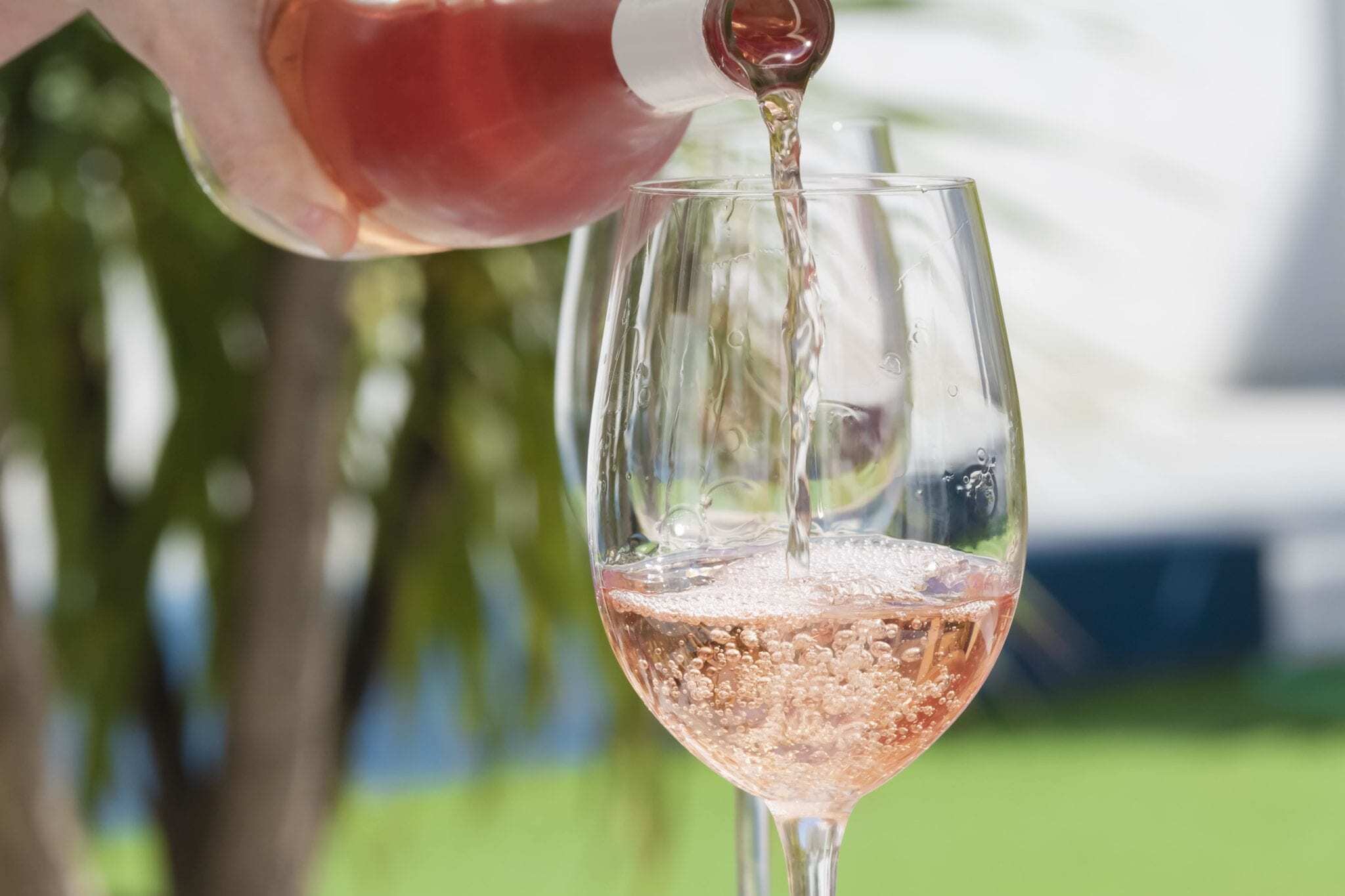 What Is Rose Wine Everything You Need To Know About The Pink Drink
