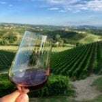 Barolo Wine Region, understating the wines in Barolo