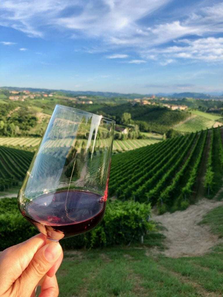 Piedmont Wine Offer: All this wine talk – are you thirsty yet!?