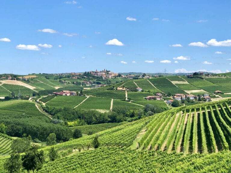 Italian Wine Travel Guide
