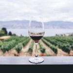 The Grapes and Wines of British Columbia