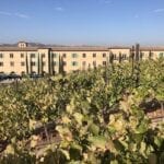 Pairing the Perfect Paso Robles Wine Tasting Getaway