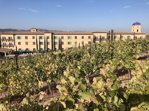 Where to Stay in Paso Robles - Allegretto vineyard