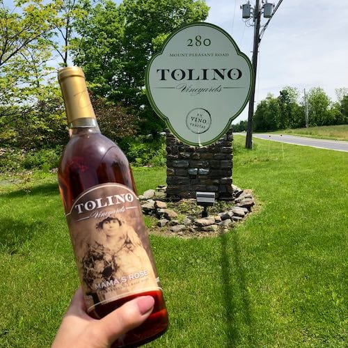 Tolina Vineayards, wine tasting in the Poconos