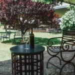 Texas hill Country Wineries