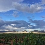 Callaghan Vineyards in Sonoita AZ