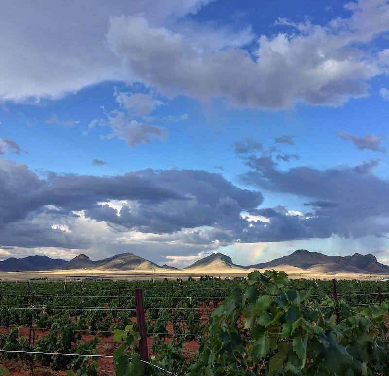 Callaghan Vineyards in Sonoita AZ 