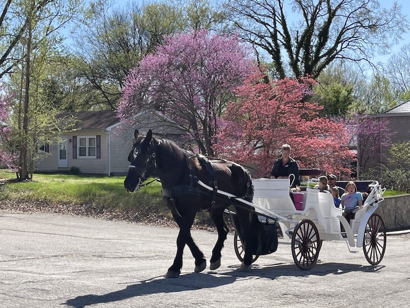 Carriage Ride in Augusta Missouri