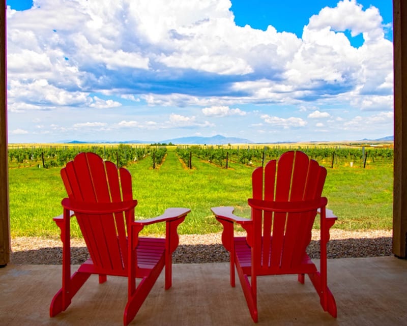 Wineries in Sonoita Not to Miss -Deep Sky Vineyard 