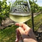 Five Fabulously Sip Worthy Florida Wineries