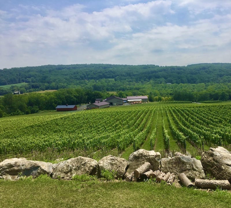 New Jersey Winery - Alba Vineyard