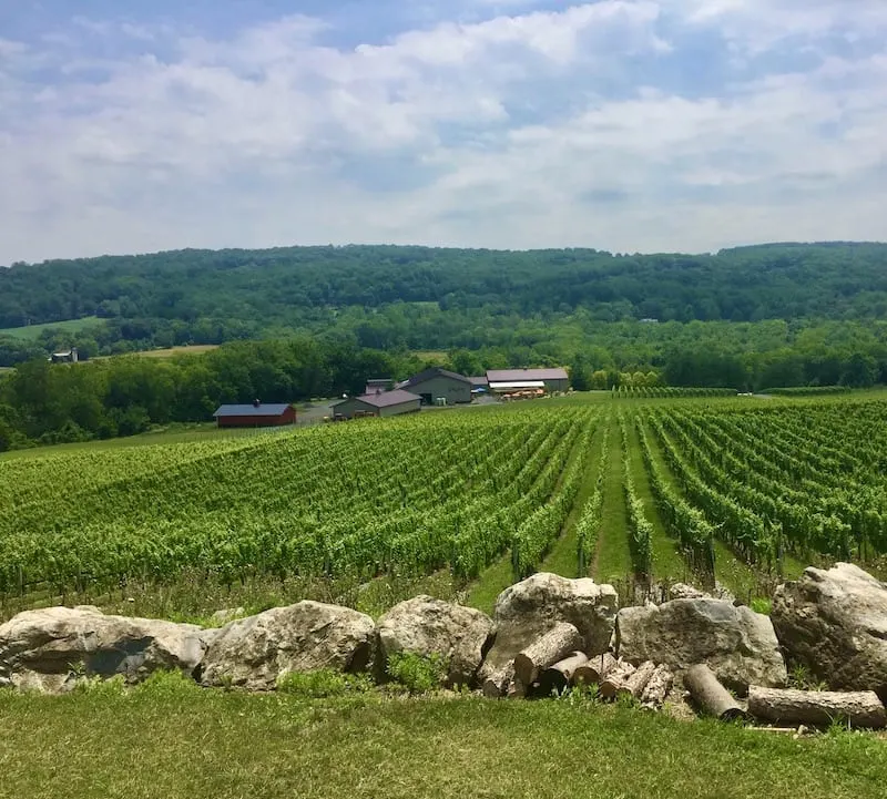 best wineries in central nj