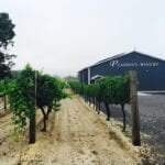 Where to Sip When Exploring New Jersey Wineries