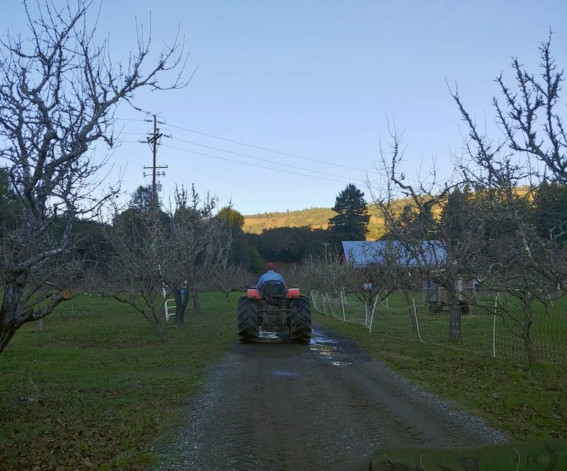 Apple Farm Anderson Valley