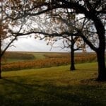 10 Wisconsin Wineries that Wow!