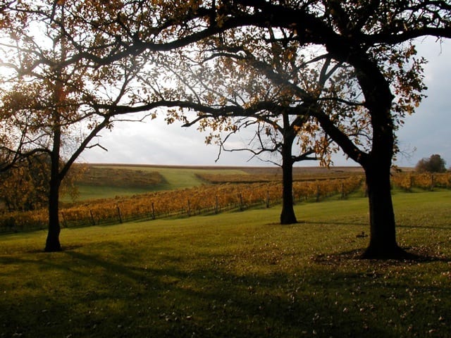 Botham Vineyards and Winery in Wisconsin Wine Country