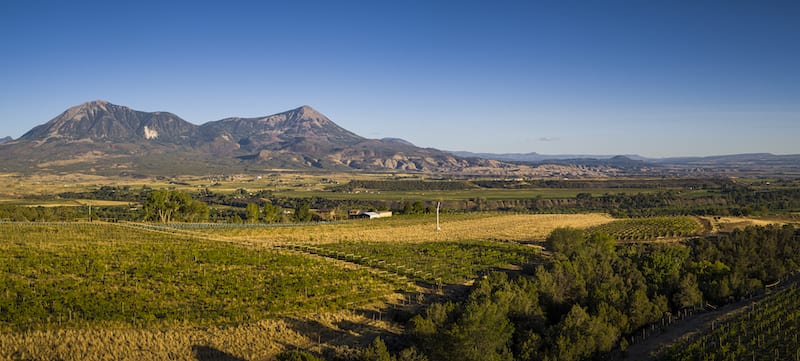 Colorado wineries in Paonia
