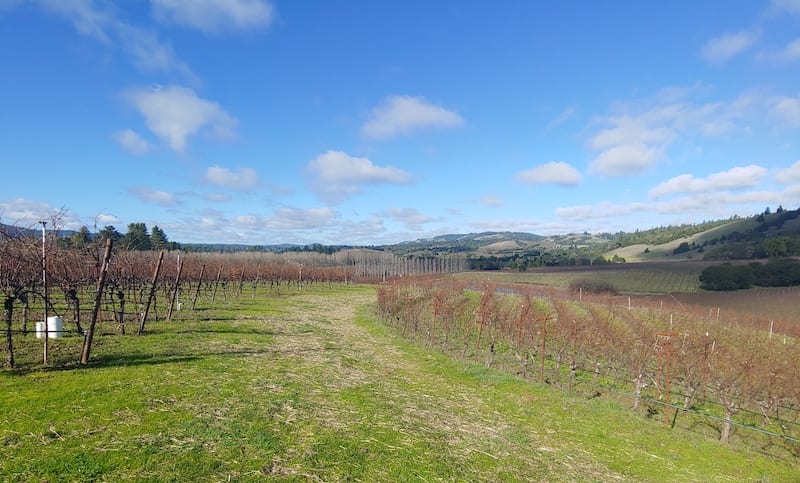 Navarro Vineyards Anderson Valley Wineries
