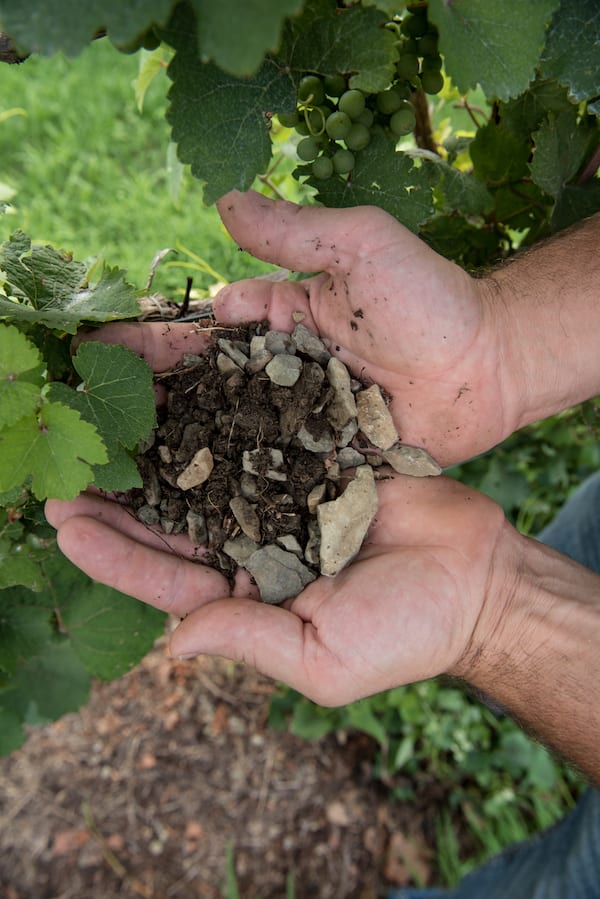 Pennsylvania Wineries SOIL