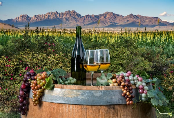 new mexico wine tour