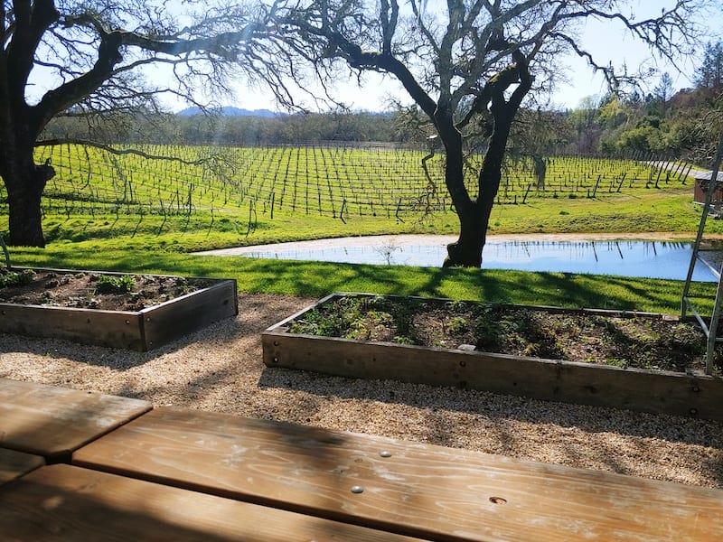 N Sonoma Wineries Medlock Ames by Brooke Herron