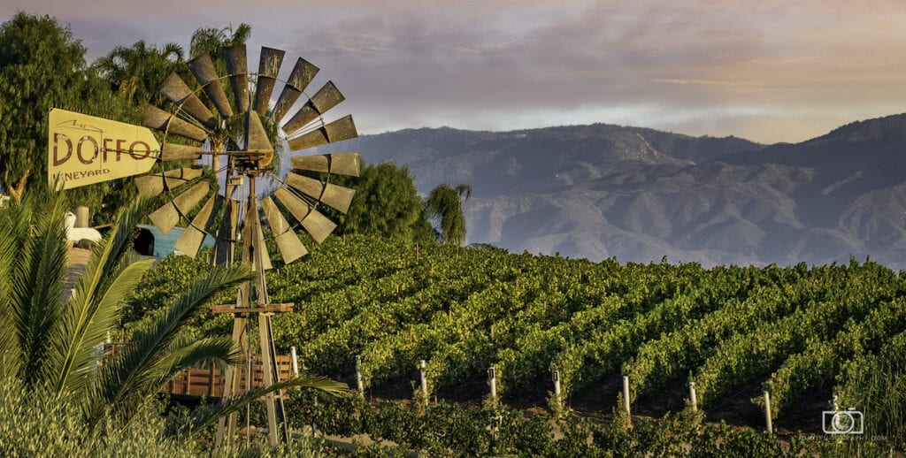 Temecula Wineries to Vist - Doffo Vineyard