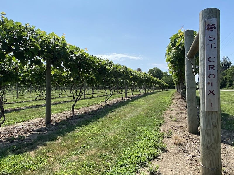 Ohio Wineries - The Vineyards at Pine Lake