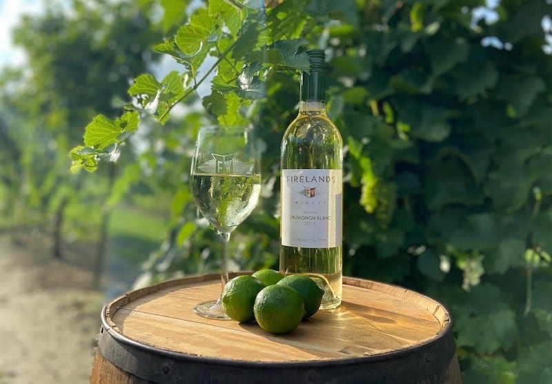 Ohio Wineries - Firelands Sauvignon Blanc in Vineyard