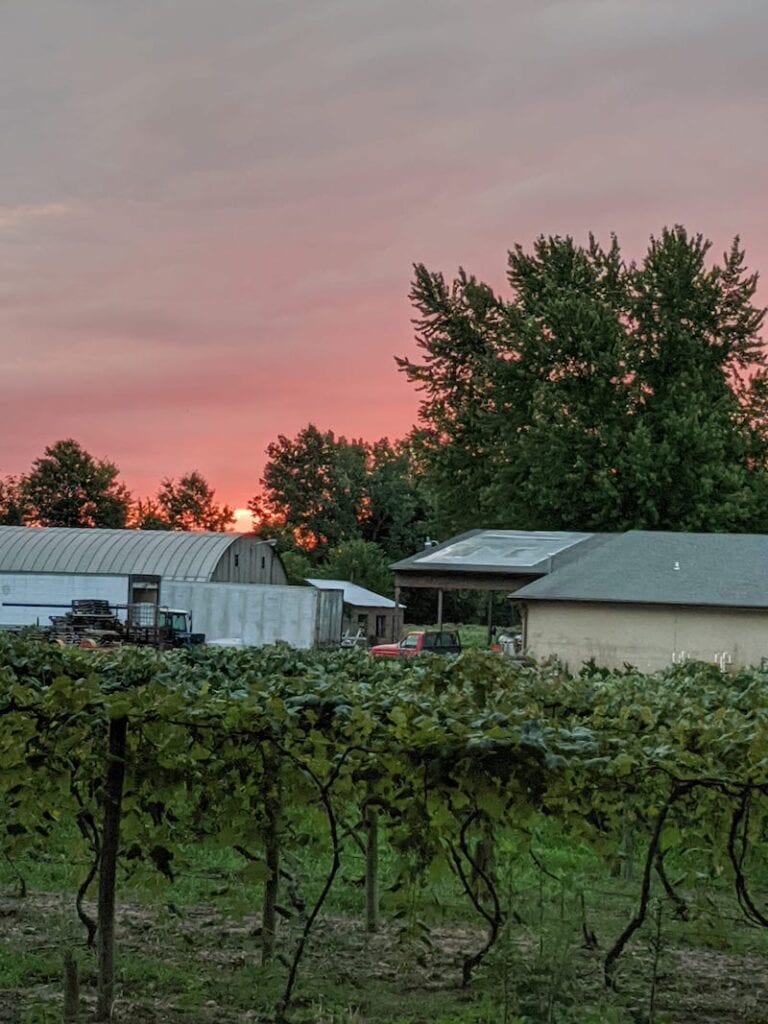 Ohio Wineries - Klingshirn Winery