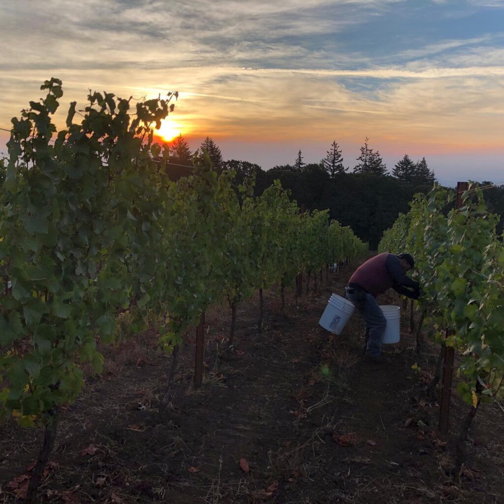 Willamette Valley Wineries to visit - Cristom Vineyards