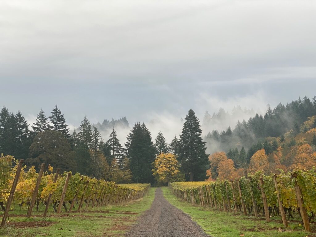 Lange Winery in Willamette Valley