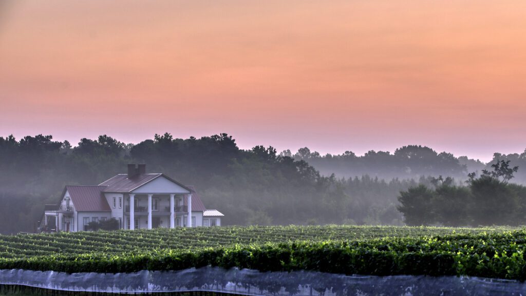 Wineries in Virginia - Rosemont Vineyards