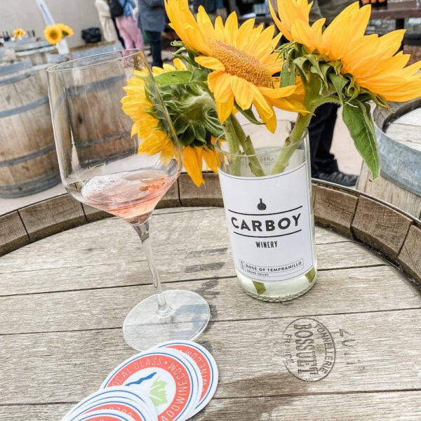 8 Palisade Wineries to Uncork The Best Wineries in Palisade CO