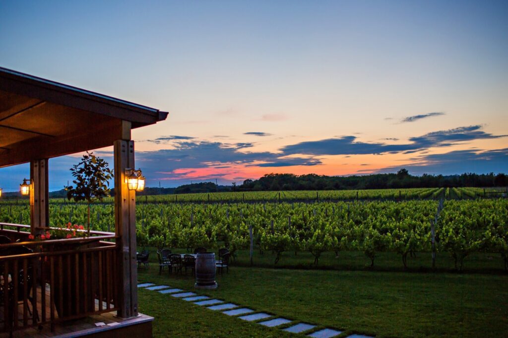 Long Island Wineries - Macari Vineyards