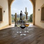 Wineries in Sicily - The ultimate guide to discover the Sicilian wine country