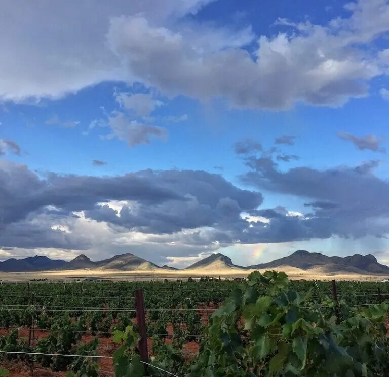 Arizona Wine Country