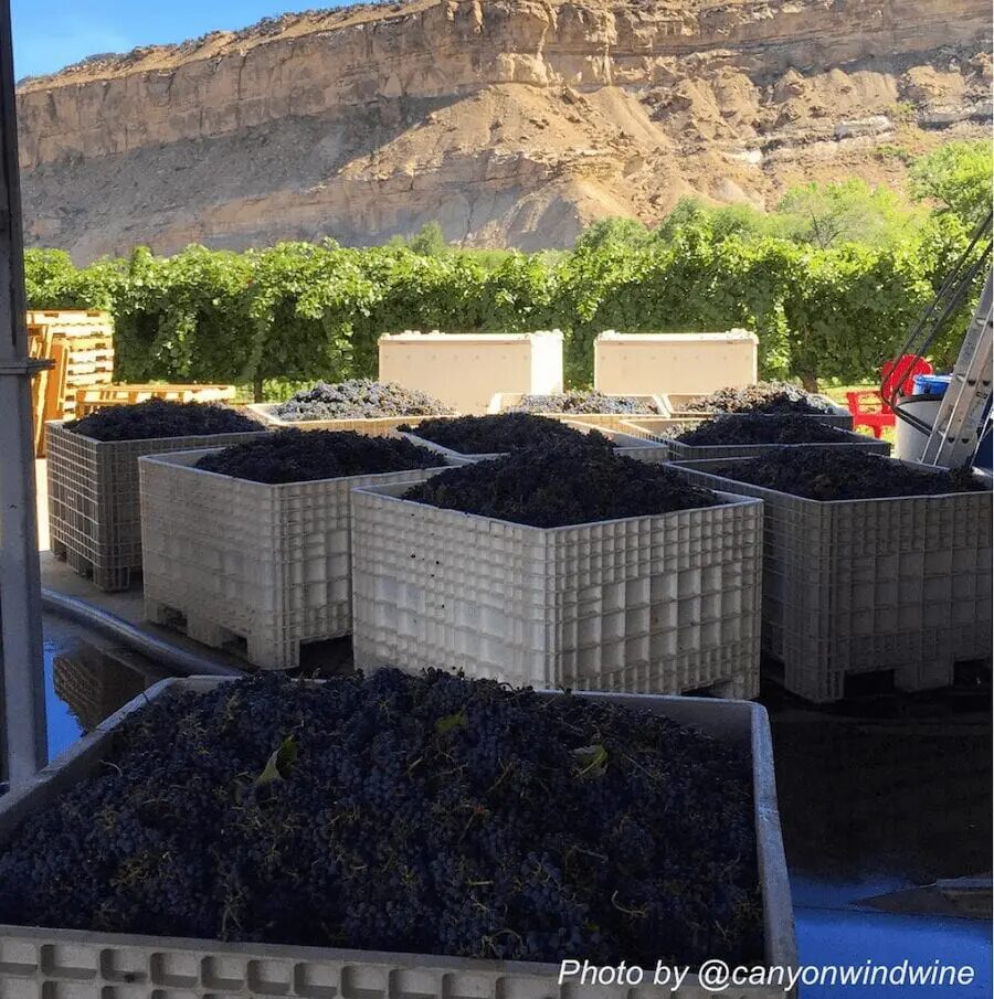 Things to Do in Grand Junction & Colorado Wine Country