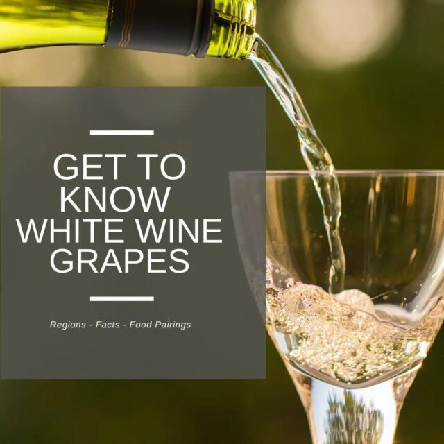 type of white wine grapes