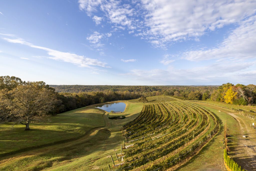 Wineries in Georgia - Montaluce Winery in Dahlonega