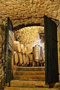 Wine tours in the Valpolicella wine region