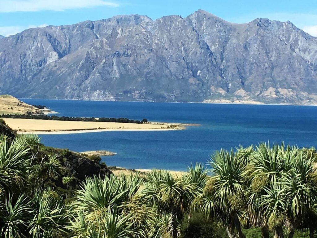 New Zealand Wine - Wanaka