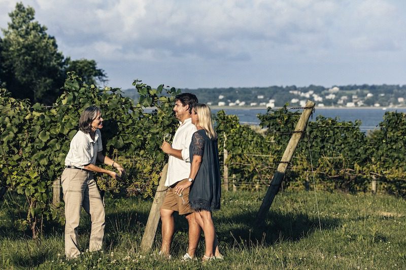 Greenvale Vineyards Rhode Island Wineries - to visit