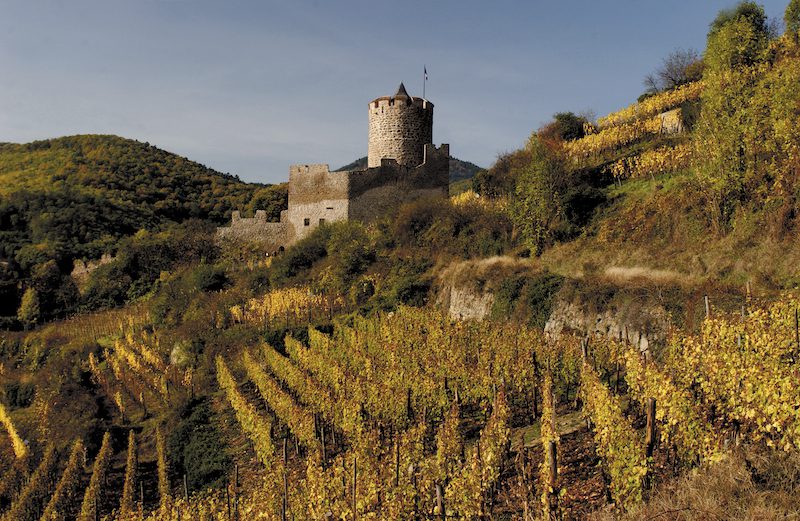 A Beginner’s Guide to Alsace Wines and the Alsace Wine Route