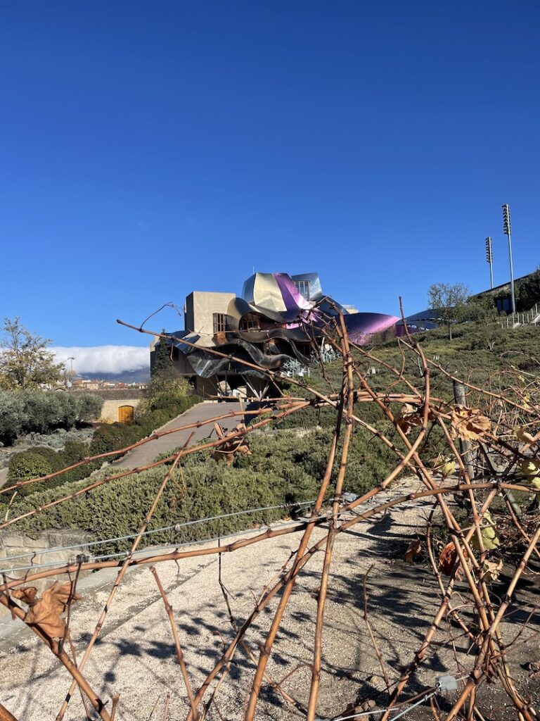 Rioja Wineries - Riscal