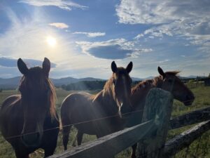 Things to do in Lake Champlain