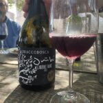Exploring The Wines Of Uruguay